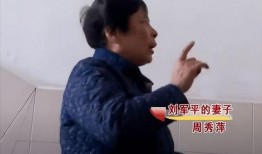 沈猛最新爆料刘大爷视频,刘大爷视频背后惊人真相曝光